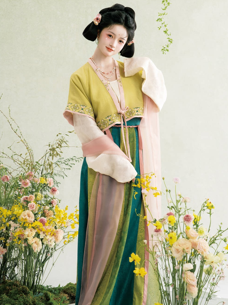 Traditional Tang Dynasty Hanfu Set Everyday Spring Women Attire
