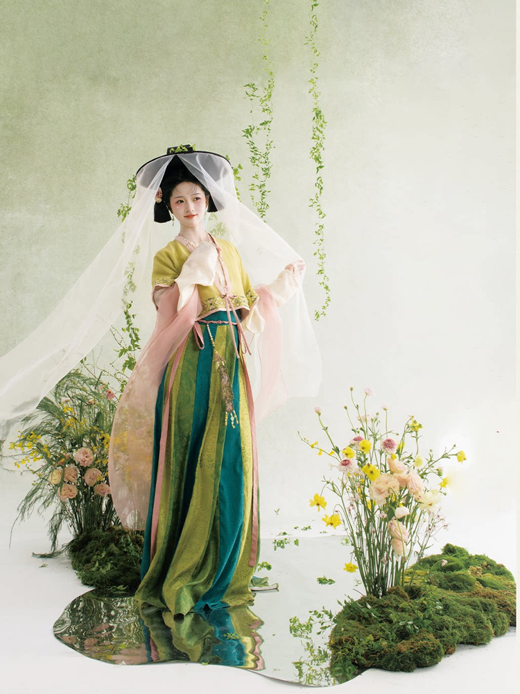 Traditional Tang Dynasty Hanfu Set Everyday Spring Women Attire