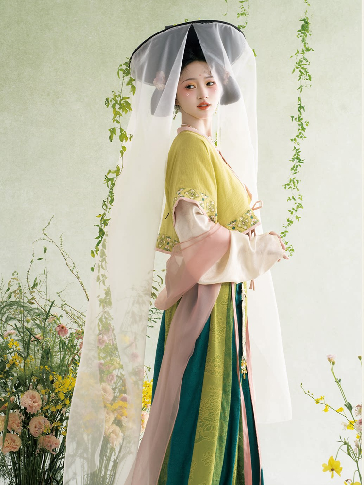 Traditional Tang Dynasty Hanfu Set Everyday Spring Women Attire