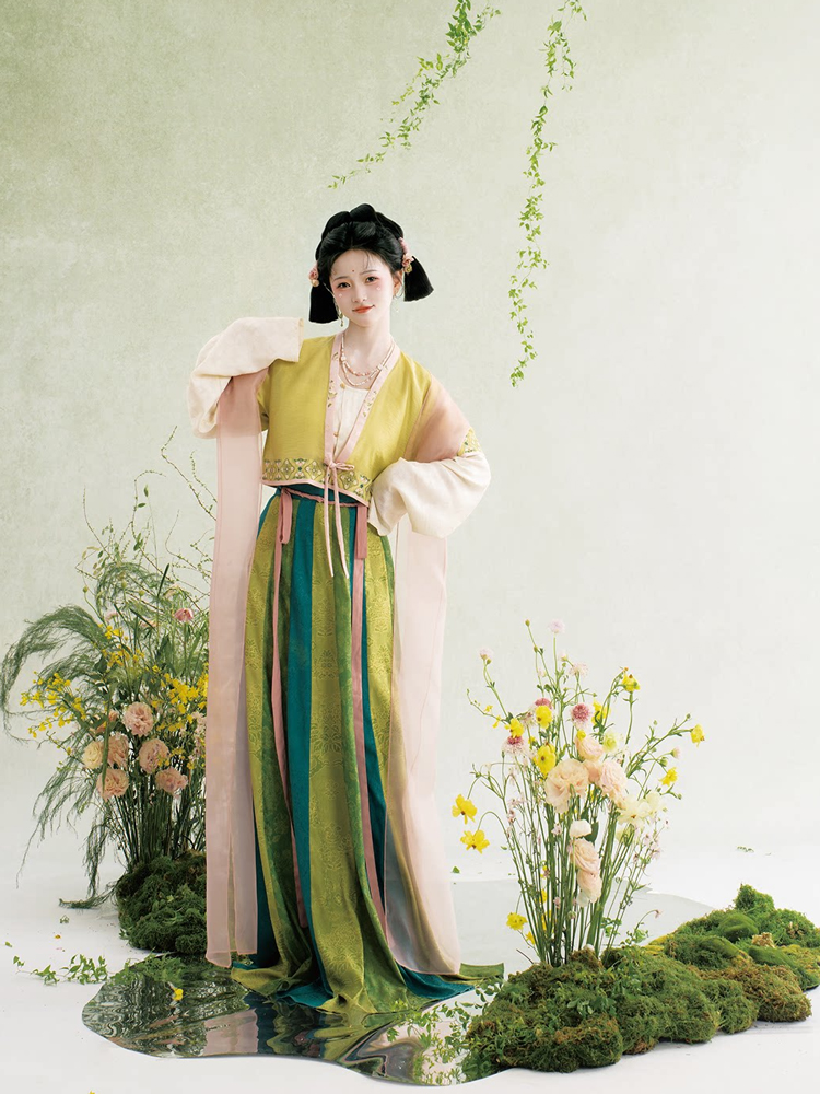 Traditional Tang Dynasty Hanfu Set Everyday Spring Women Attire