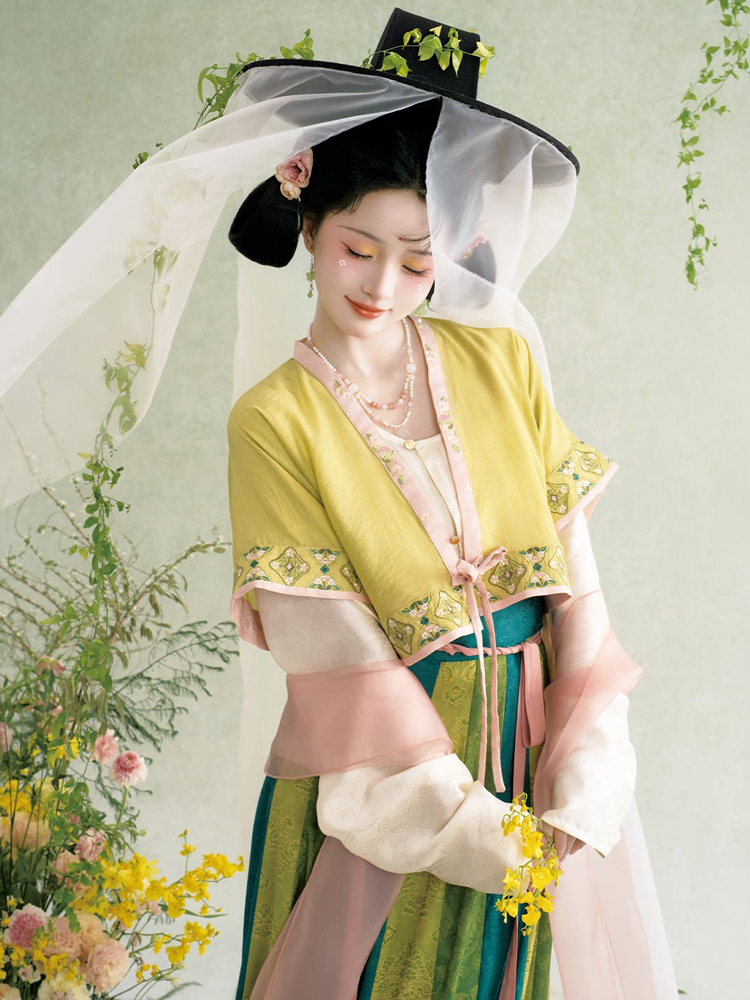 Traditional Tang Dynasty Hanfu Set Everyday Spring Women Attire