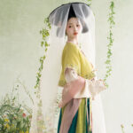 Traditional Tang Dynasty Hanfu Set Everyday Spring Women Attire