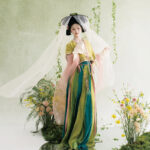 Traditional Tang Dynasty Hanfu Set Everyday Spring Women Attire