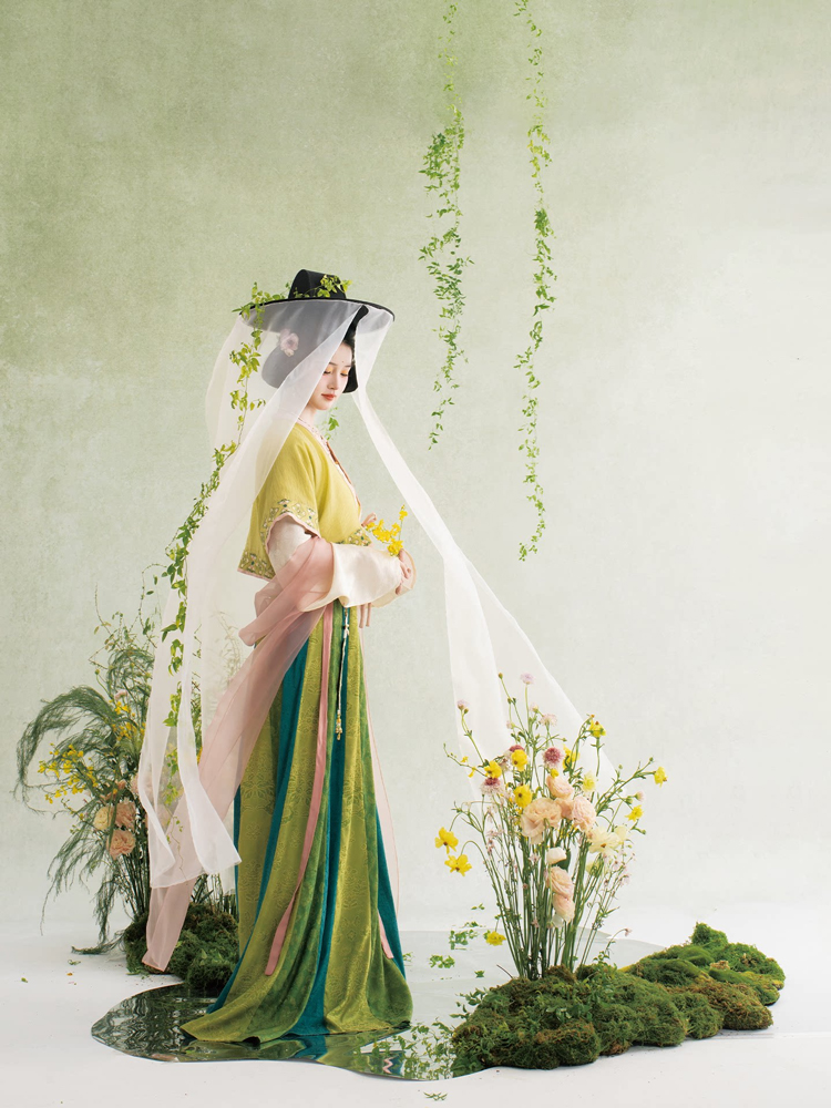 Traditional Tang Dynasty Hanfu Set Everyday Spring Women Attire