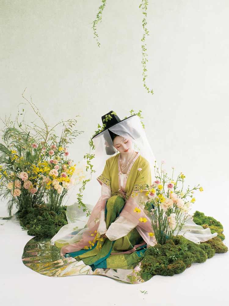 Traditional Tang Dynasty Hanfu Set Everyday Spring Women Attire