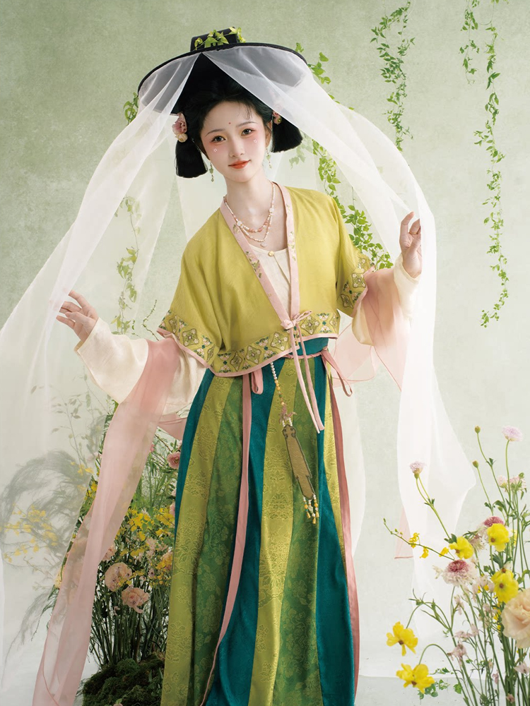 Traditional Tang Dynasty Hanfu Set Everyday Spring Women Attire