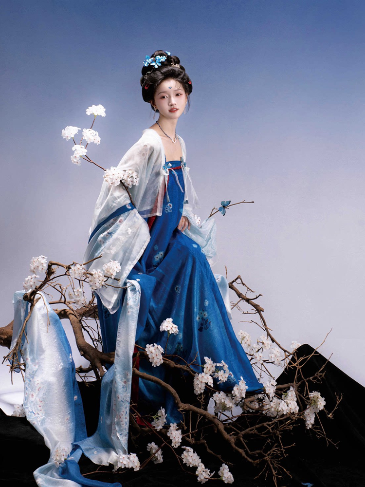 Traditional Tang Dynasty Women Hanfu in the Fa Men Si Style Blue Color Scheme