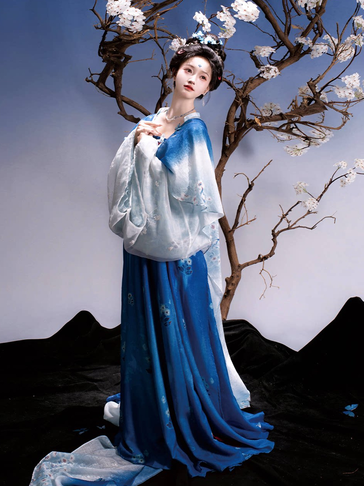 Traditional Tang Dynasty Women Hanfu in the Fa Men Si Style Blue Color Scheme