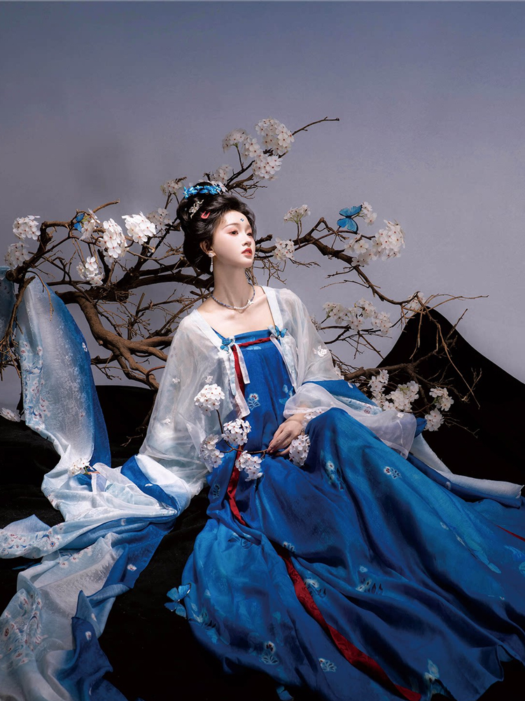 Traditional Tang Dynasty Women Hanfu in the Fa Men Si Style Blue Color Scheme