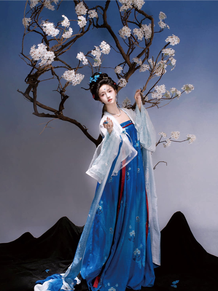 Traditional Tang Dynasty Women Hanfu in the Fa Men Si Style Blue Color Scheme