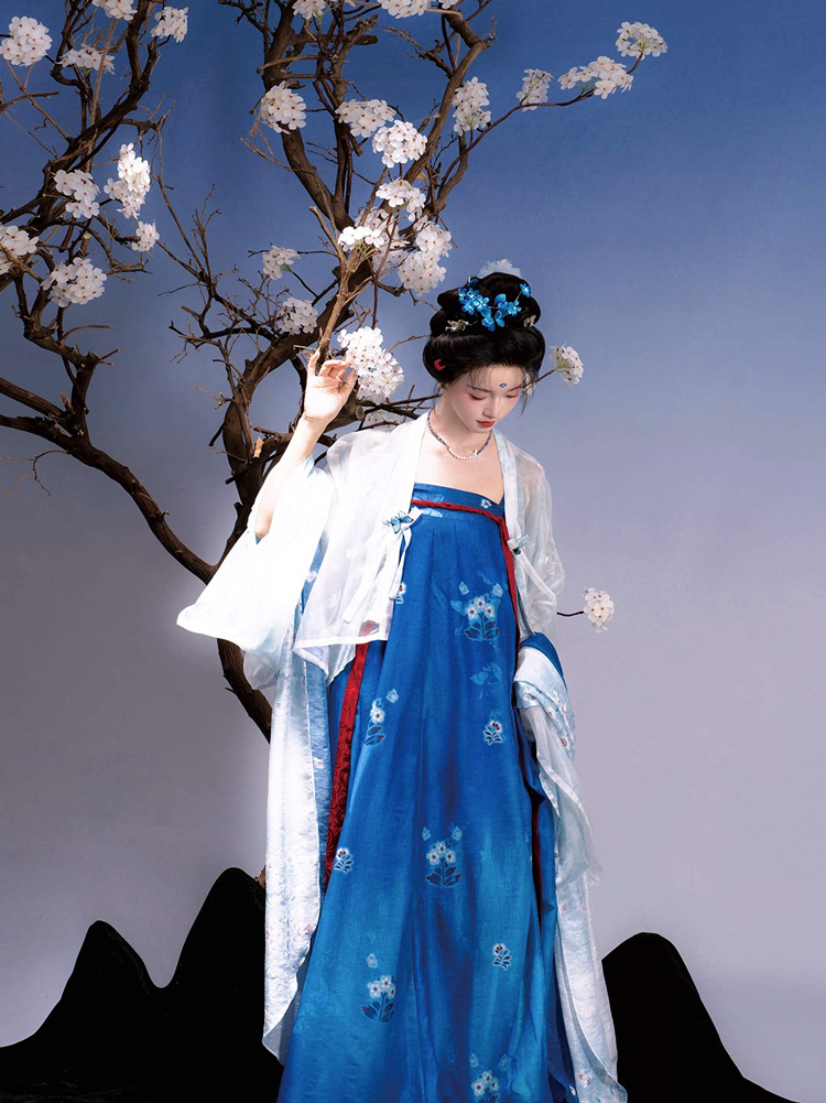 Traditional Tang Dynasty Women Hanfu in the Fa Men Si Style Blue Color Scheme