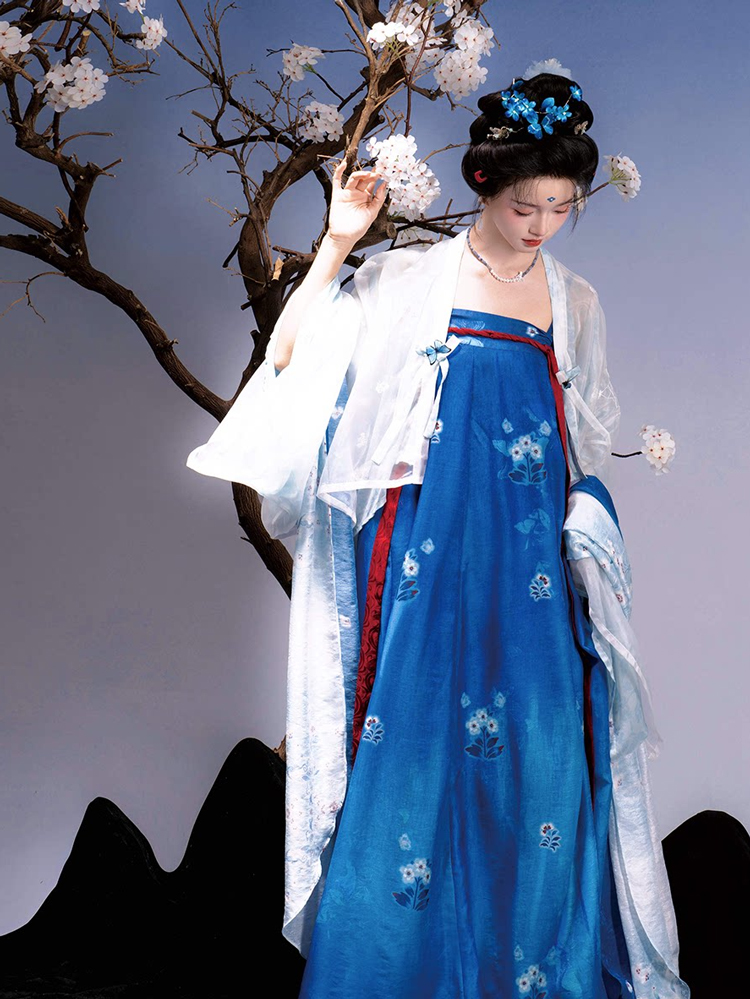 Traditional Tang Dynasty Women Hanfu in the Fa Men Si Style Blue Color Scheme