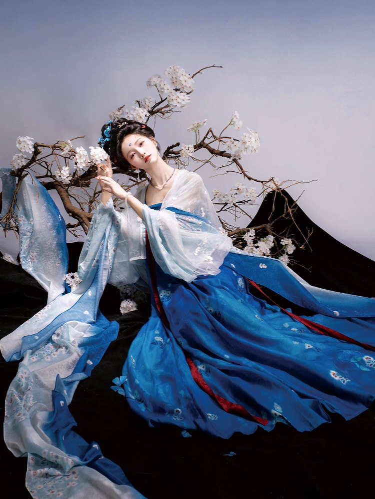 Traditional Tang Dynasty Women Hanfu in the Fa Men Si Style Blue Color Scheme