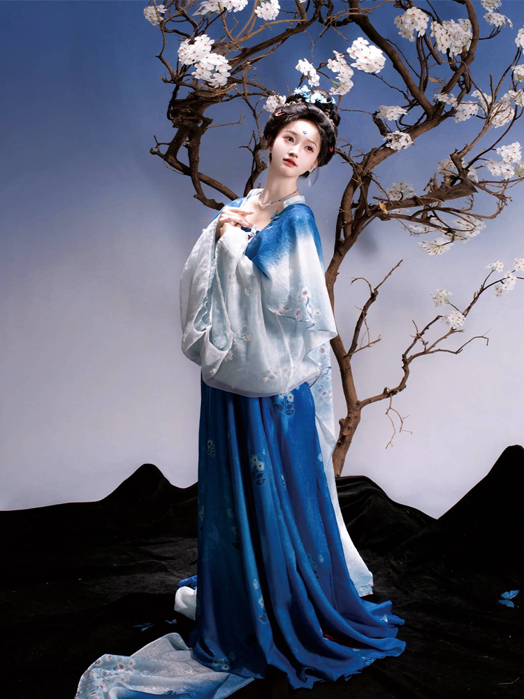 Traditional Tang Dynasty Women Hanfu in the Fa Men Si Style Blue Color Scheme