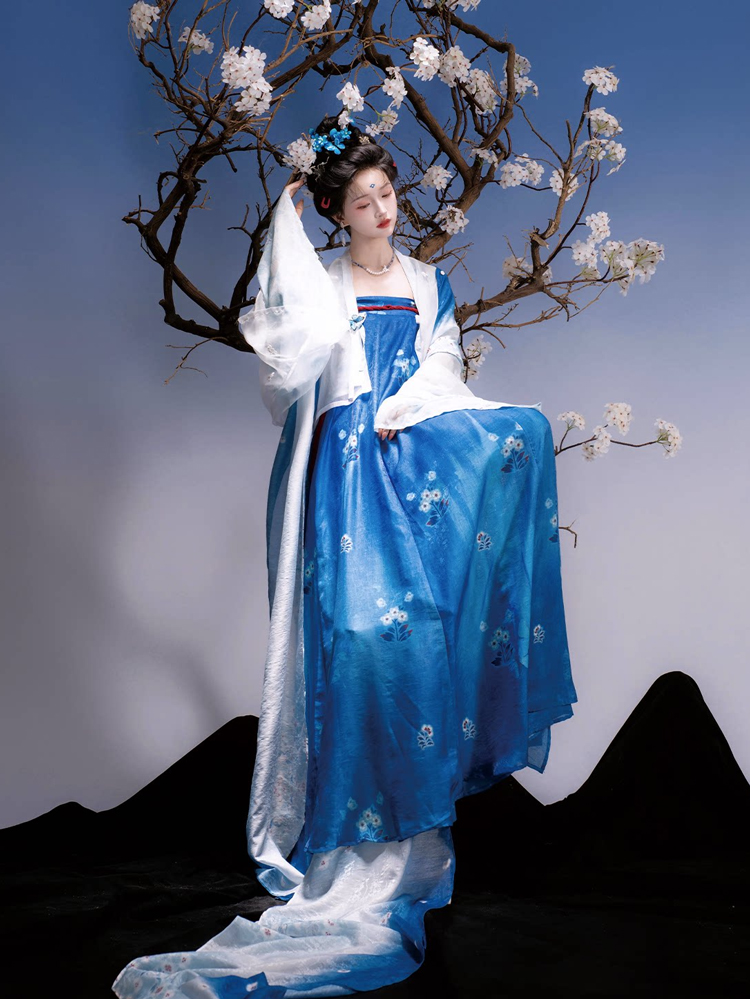 Traditional Tang Dynasty Women Hanfu in the Fa Men Si Style Blue Color Scheme
