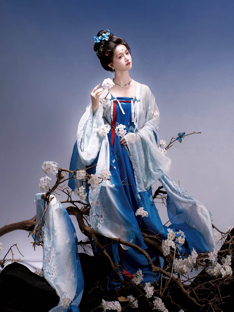 Traditional Tang Dynasty Women Hanfu in the Fa Men Si Style Blue Color Scheme
