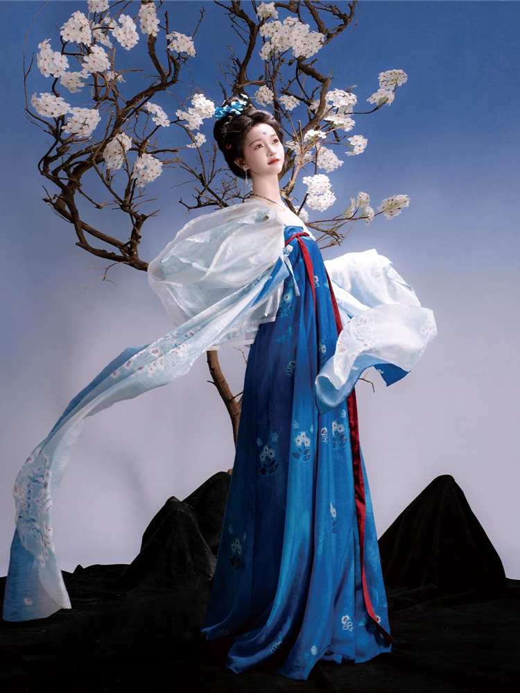 Traditional Tang Dynasty Women Hanfu in the Fa Men Si Style Blue Color Scheme