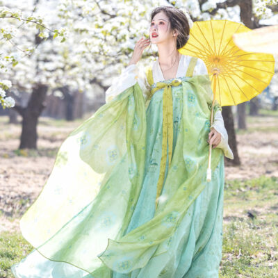 Women Spring Green Tang Dynasty Qixiong Shanqun Hanfu Set