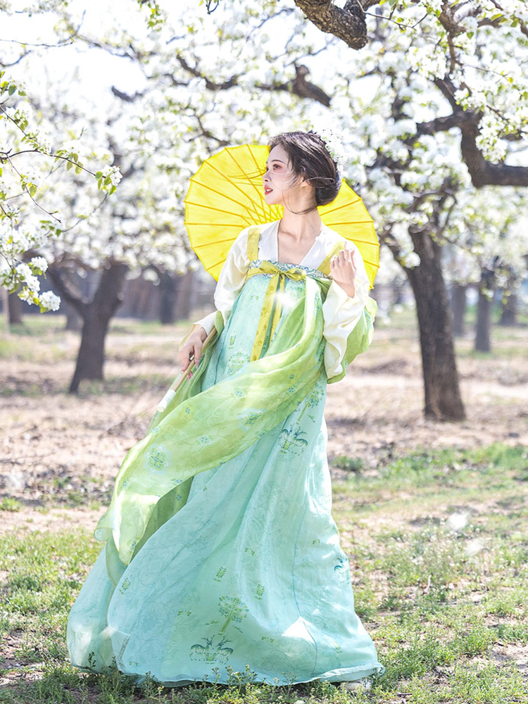 Women Spring Green Tang Dynasty Qixiong Shanqun Hanfu Set 