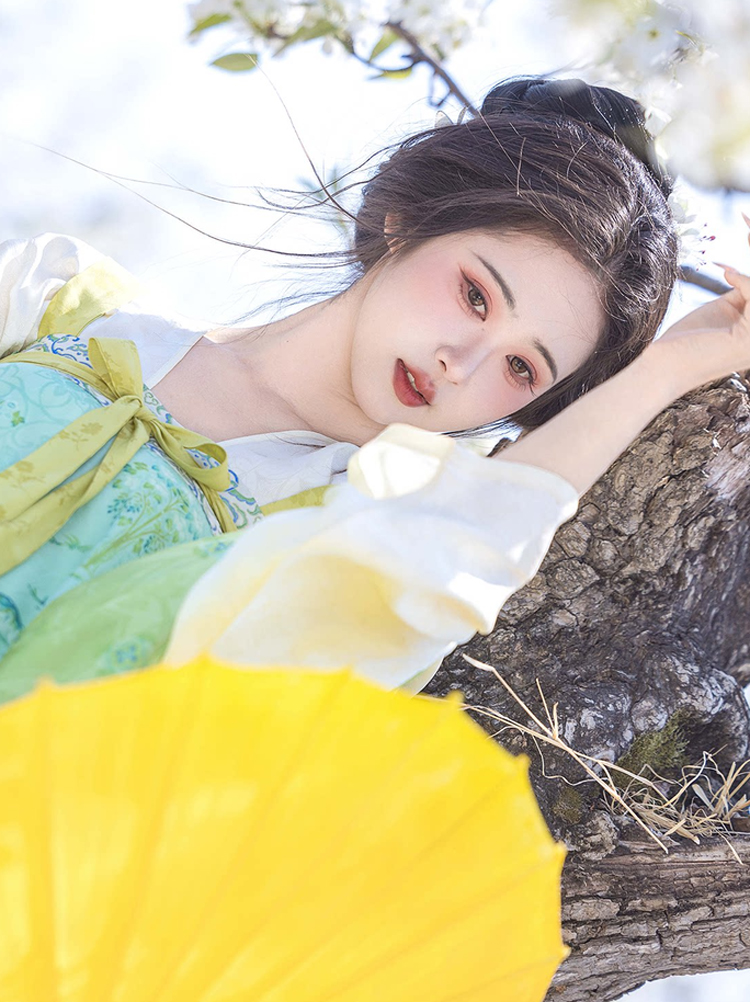 Women Spring Green Tang Dynasty Qixiong Shanqun Hanfu Set 