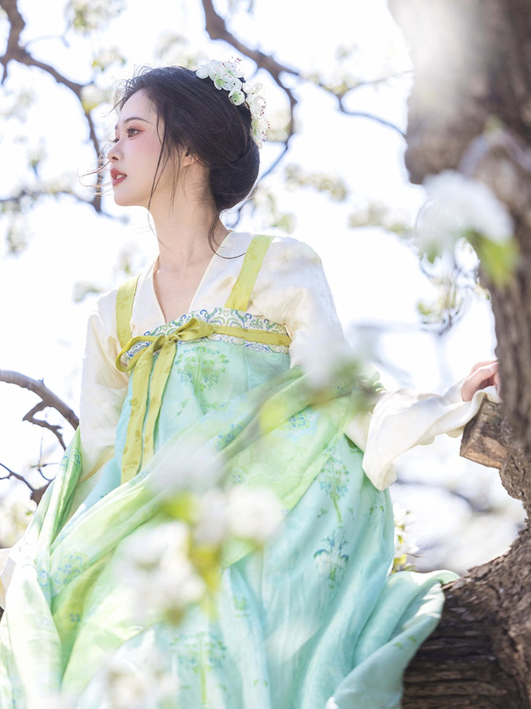 Women Spring Green Tang Dynasty Qixiong Shanqun Hanfu Set 