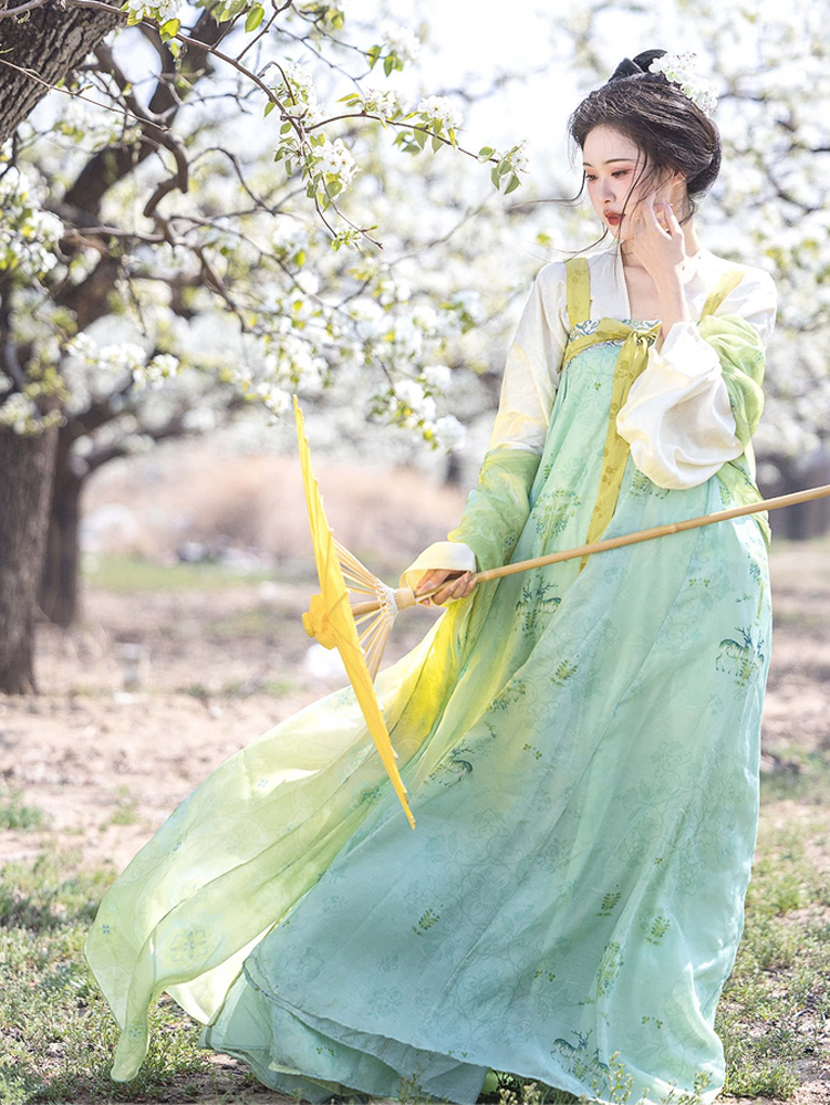 Women Spring Green Tang Dynasty Qixiong Shanqun Hanfu Set 