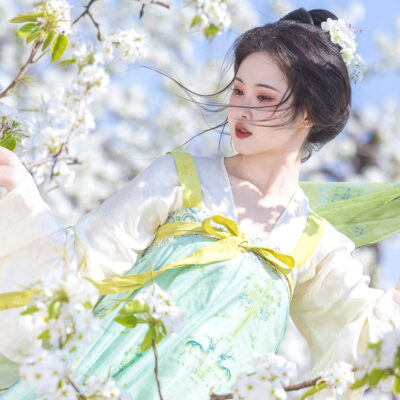 Women Spring Green Tang Dynasty Qixiong Shanqun Hanfu Set