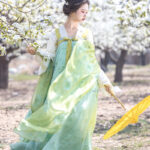Women Spring Green Tang Dynasty Qixiong Shanqun Hanfu Set