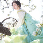 Women Spring Green Tang Dynasty Qixiong Shanqun Hanfu Set