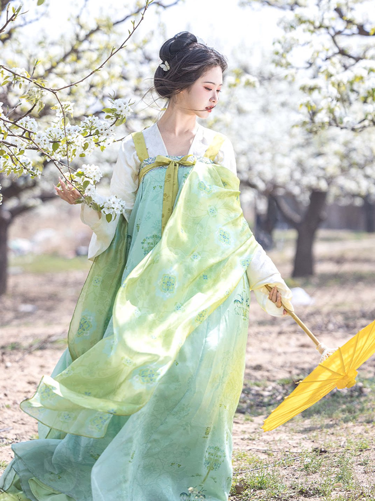 Women Spring Green Tang Dynasty Qixiong Shanqun Hanfu Set 