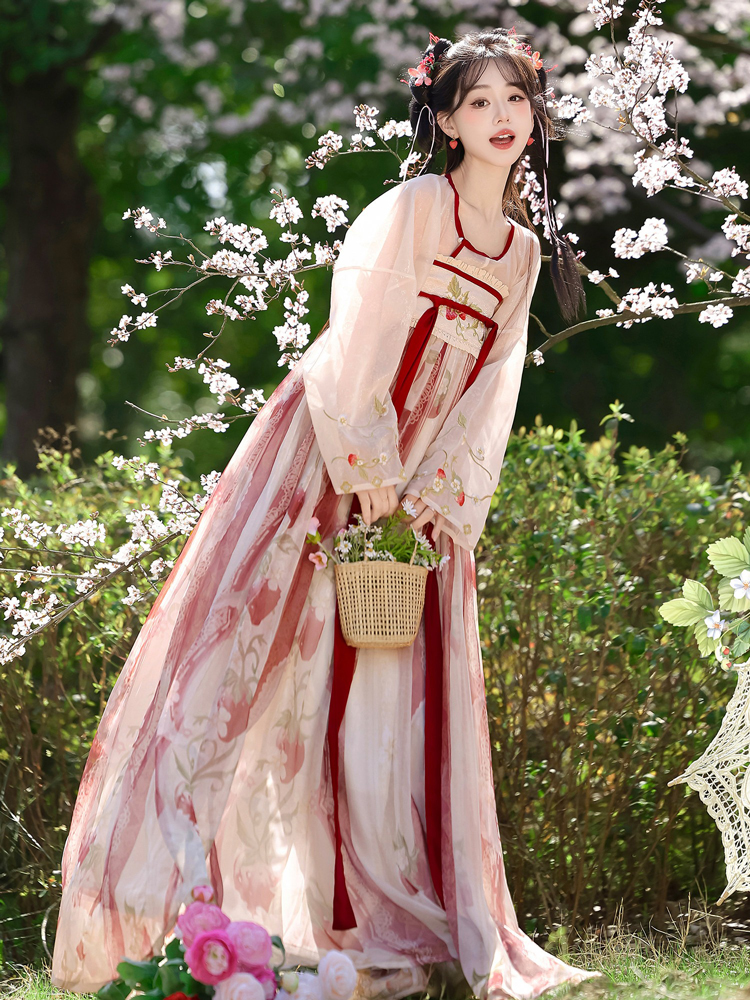 Women Tang Dynasty Hanfu Set Qixiong Style Strawberry Design Fresh Casual