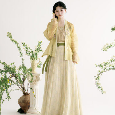 Women Song Dynasty Hanfu Qiyao Ruqun Casual Elegant Set
