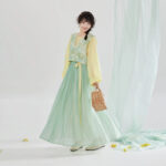 Women Spring Tang-Style Hanfu Round-Neck Top for Casual Everyday Wear