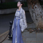 Women Summer Casual Hanfu Song Dynasty-Style Blue Everyday Songku Set