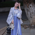 Women Summer Casual Hanfu Song Dynasty-Style Blue Everyday Songku Set