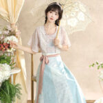 Women Summer Song Dynasty-Style Hanfu Casual Round-Neck Top