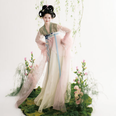 Summer Women Hanfu Qixiong Shanqun Cute Swallow Dress