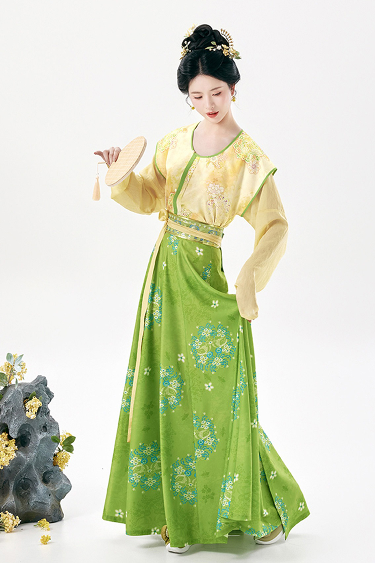 Traditional Tang Dynasty Women Hanfu Outfit Vintage Style