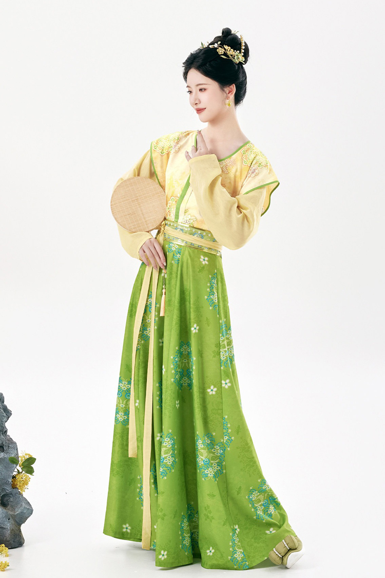Traditional Tang Dynasty Women Hanfu Outfit Vintage Style