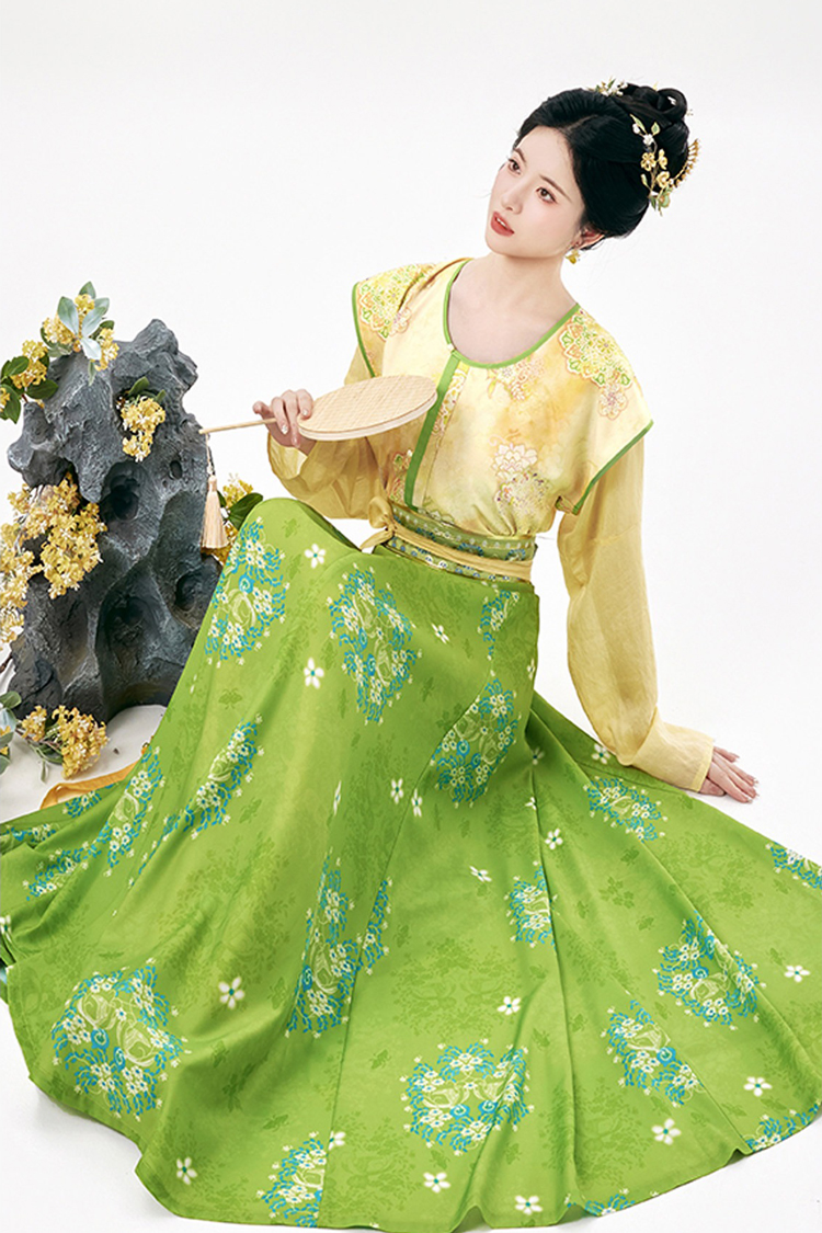Traditional Tang Dynasty Women Hanfu Outfit Vintage Style