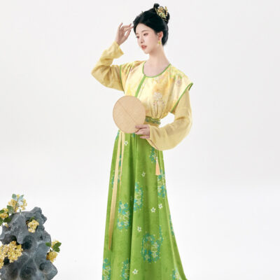 Traditional Tang Dynasty Women Hanfu Outfit Vintage Style