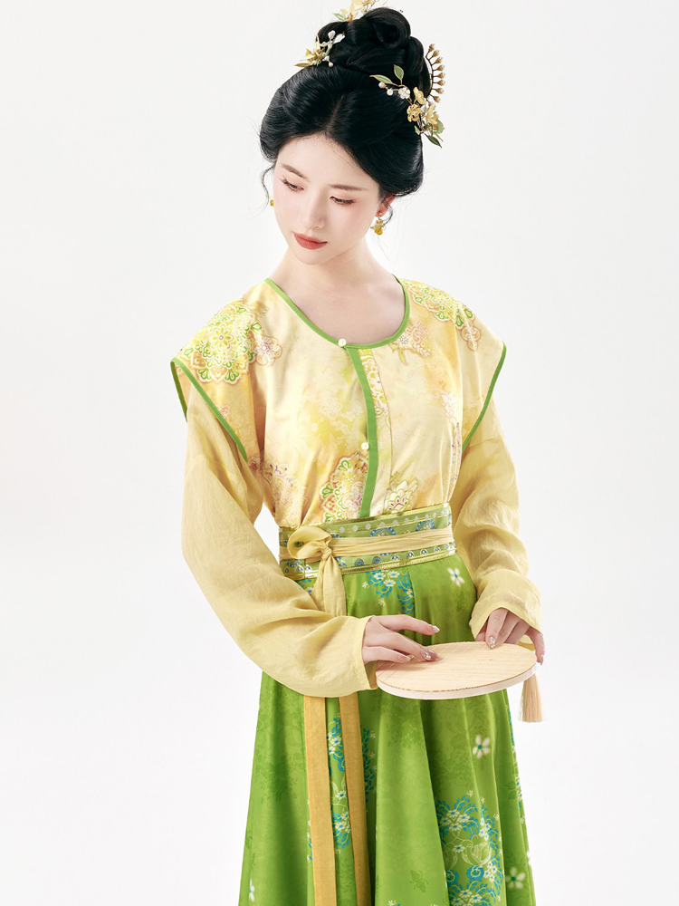Traditional Tang Dynasty Women Hanfu Outfit Vintage Style