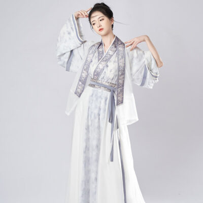 Women Spring Wuxia Style Jin Dynasty Hanfu Set Simple Elegant Dress