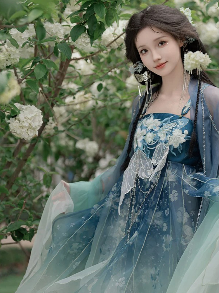 Women Summer Hanfu Tang Dynasty Hezi Qun Ethereal Butterfly Set