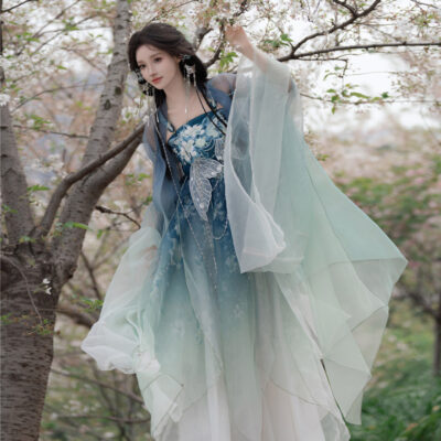 Women Summer Hanfu Tang Dynasty Hezi Qun Ethereal Butterfly Set